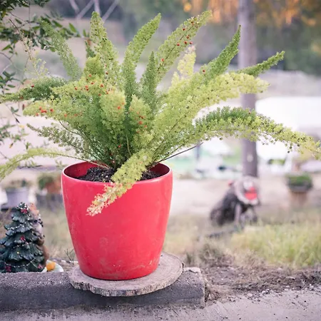 Apartmán Chetrus Casa En Plena Naturaleza